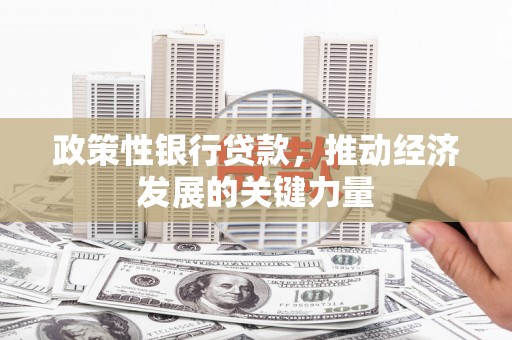 泗礁政策性银行贷款，推动经济发展的关键力量