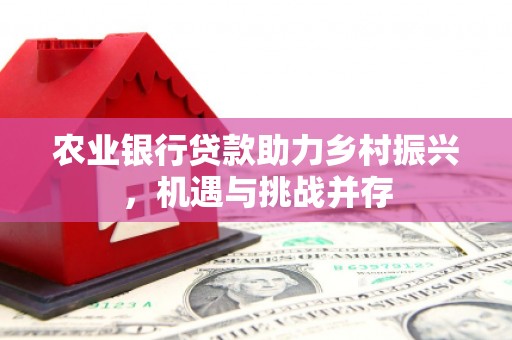泗礁农业银行贷款助力乡村振兴，机遇与挑战并存