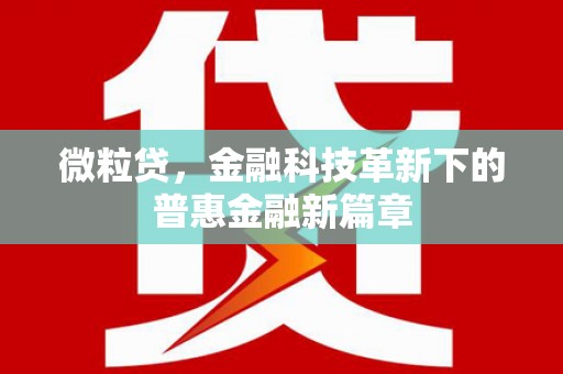 泗礁微粒贷，金融科技革新下的普惠金融新篇章