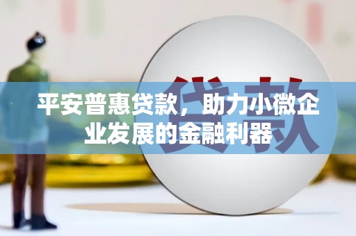 泗礁平安普惠贷款，助力小微企业发展的金融利器