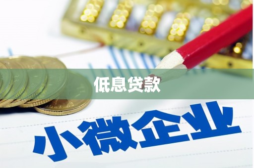 泗礁低息贷款