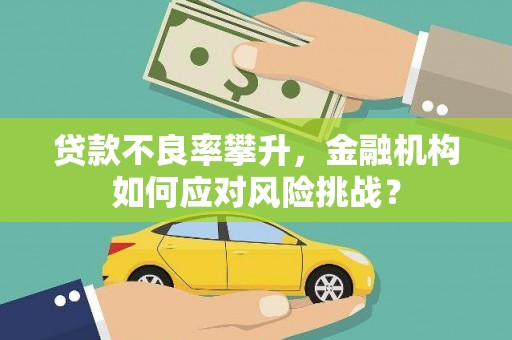 泗礁贷款不良率攀升，金融机构如何应对风险挑战？