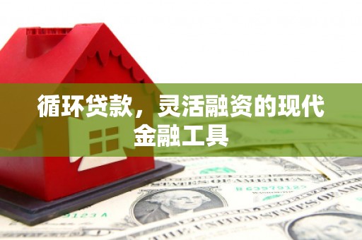泗礁循环贷款，灵活融资的现代金融工具
