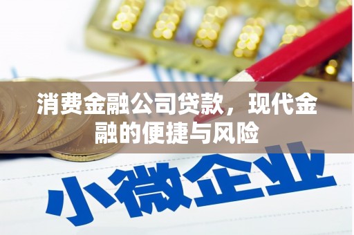 泗礁消费金融公司贷款，现代金融的便捷与风险
