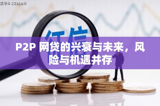 泗礁P2P 网贷的兴衰与未来，风险与机遇并存