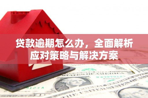 泗礁贷款逾期怎么办，全面解析应对策略与解决方案