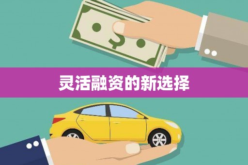 泗礁灵活融资的新选择