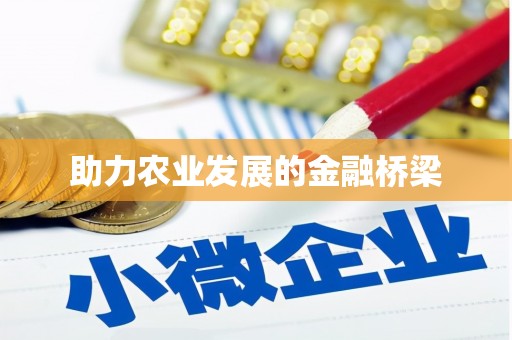 泗礁助力农业发展的金融桥梁