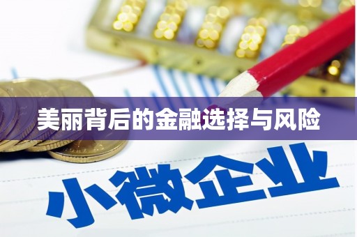 泗礁美丽背后的金融选择与风险