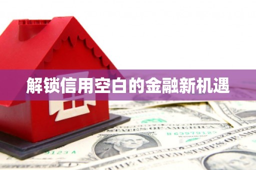 泗礁解锁信用空白的金融新机遇