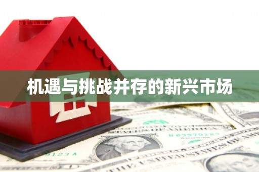 泗礁机遇与挑战并存的新兴市场