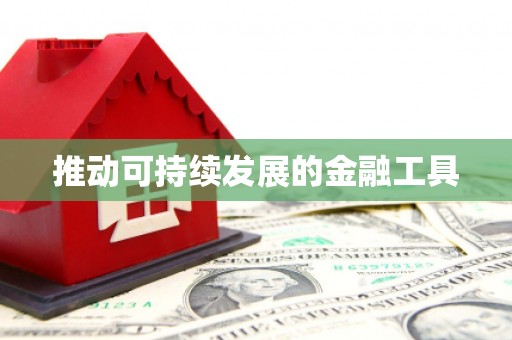 泗礁推动可持续发展的金融工具