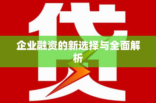泗礁企业融资的新选择与全面解析