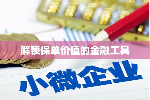 泗礁解锁保单价值的金融工具